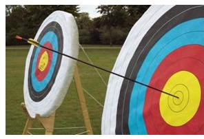 Bulls eye